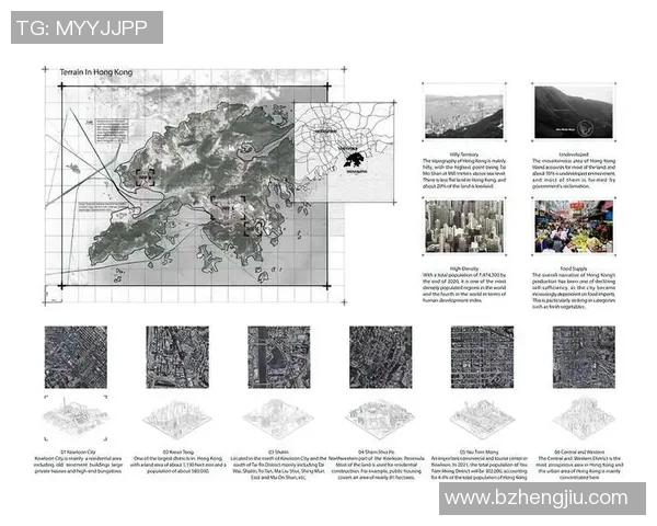 尼日利亚与阿尔及利亚比赛场地分析及影响因素探讨